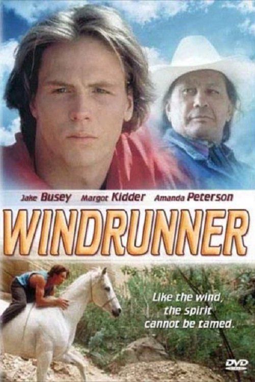 Постер WindRunner